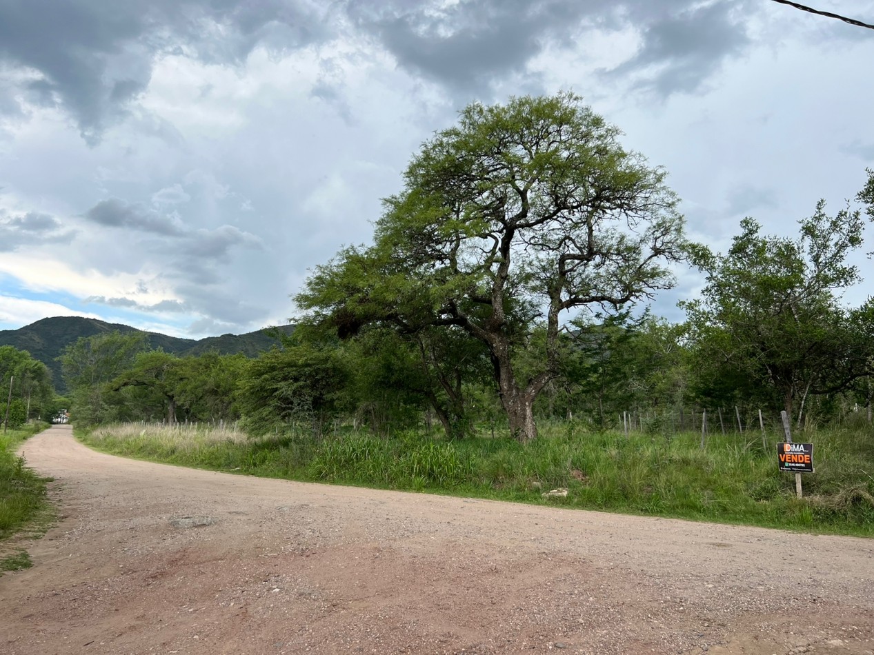 VENTA 4 LOTES EN CERRO DE ORO 