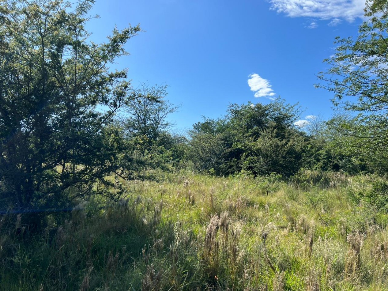 VENTA LOTE EN CAPILLA VIEJA - LOS REARTES