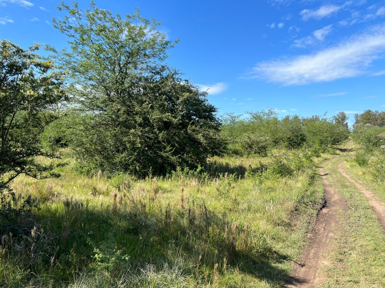 VENTA LOTE EN CAPILLA VIEJA - LOS REARTES