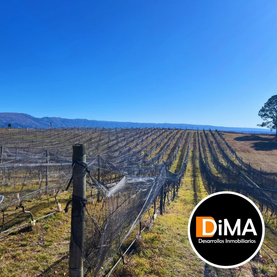 LOTES EN VENTA EN YACANTO - CON POSIBILIDAD DE TU CASA Y VIÑEDO PROPIO