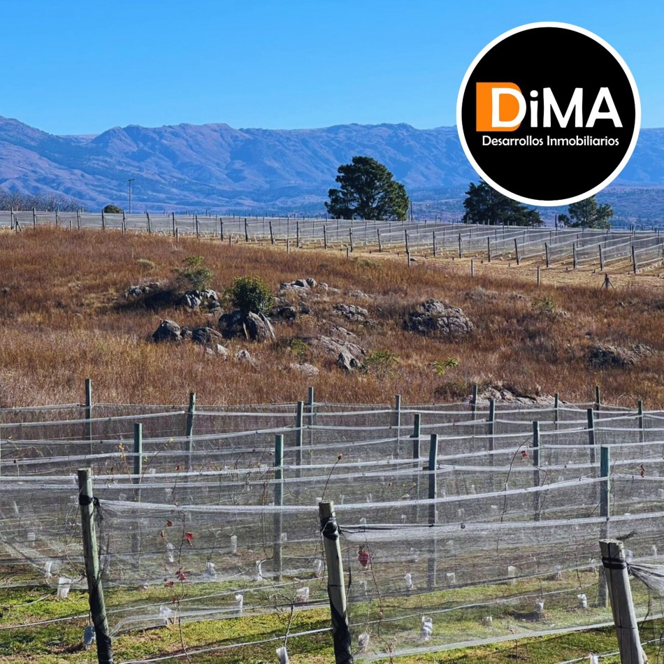 LOTES EN VENTA EN YACANTO - CON POSIBILIDAD DE TU CASA Y VIÑEDO PROPIO