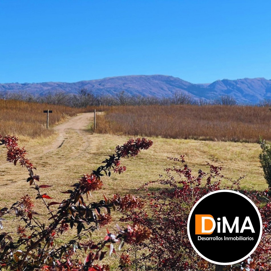 LOTES EN VENTA EN YACANTO - CON POSIBILIDAD DE TU CASA Y VIÑEDO PROPIO