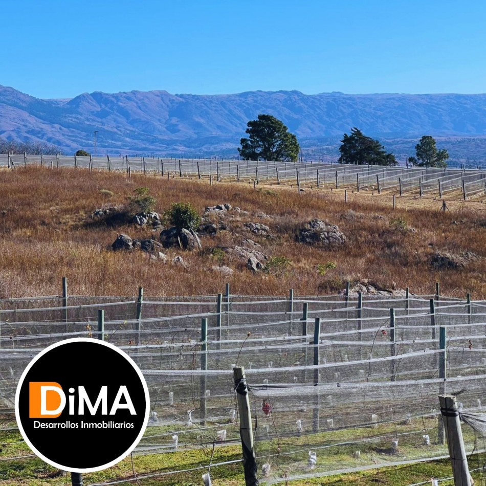 LOTES EN VENTA EN YACANTO - CON POSIBILIDAD DE TU CASA Y VIÑEDO PROPIO