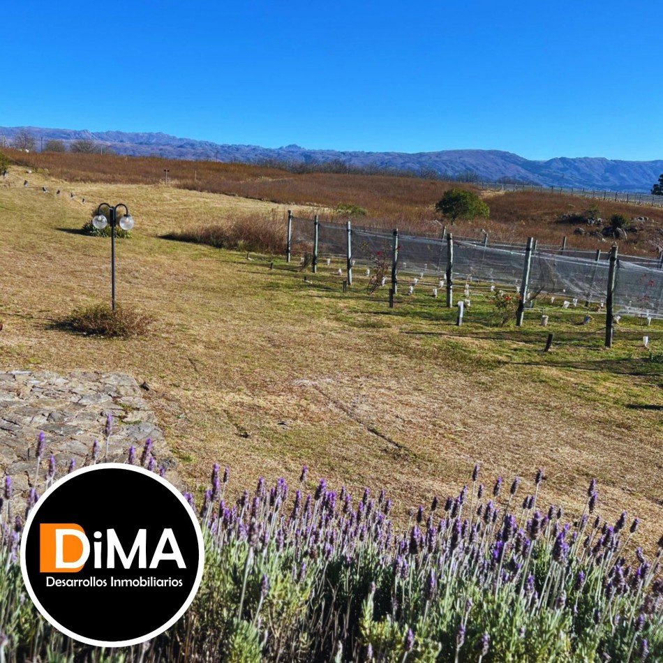 LOTES EN VENTA EN YACANTO - CON POSIBILIDAD DE TU CASA Y VIÑEDO PROPIO