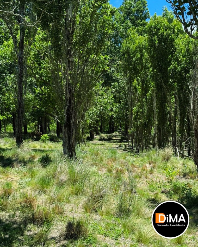 Lotes en Chacras de San Miguel