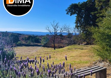 LOTES EN VENTA EN YACANTO - CON POSIBILIDAD DE TU CASA Y VIÑEDO PROPIO